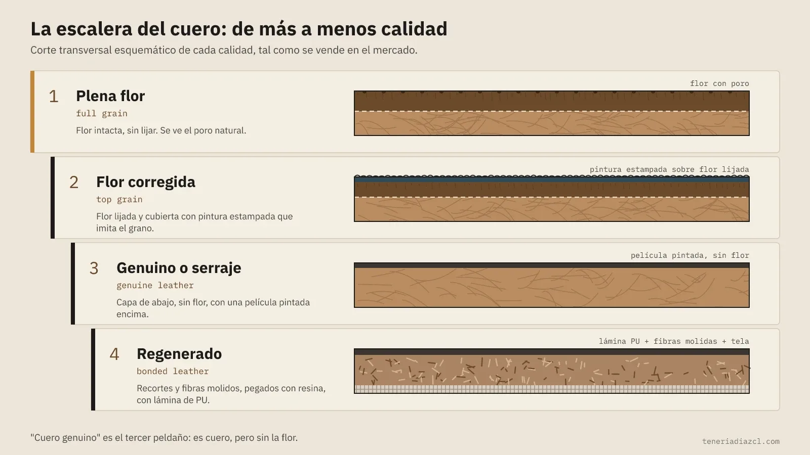 Diagrama de la escalera del cuero en cuatro peldaños con su corte transversal: plena flor con poro, flor corregida con pintura estampada sobre flor lijada, genuino o serraje con película pintada y sin flor, y regenerado con lámina de PU, fibras molidas y tela