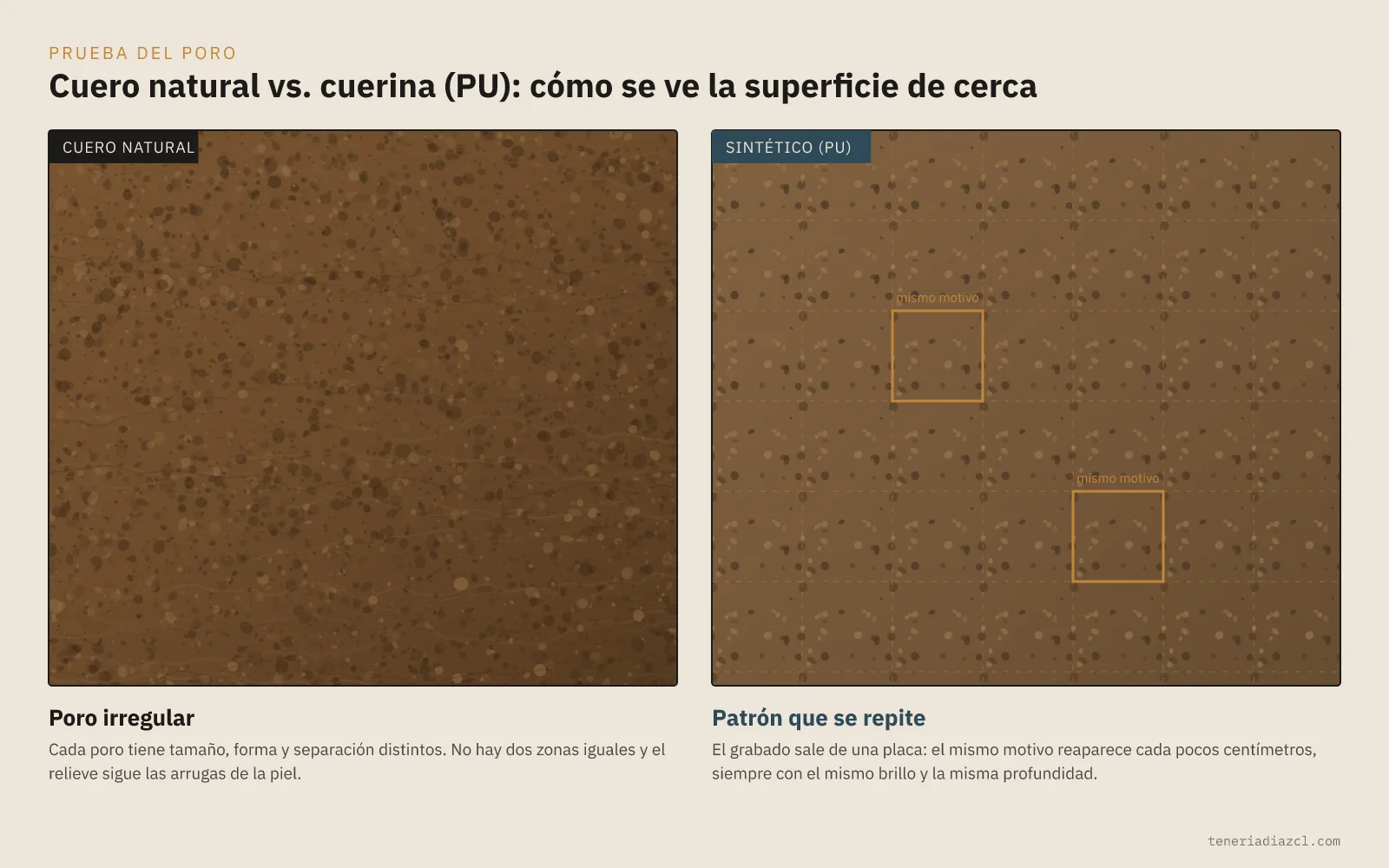 Comparación de cerca entre la superficie de cuero natural, con poro irregular, y la de cuerina con poro estampado repetido