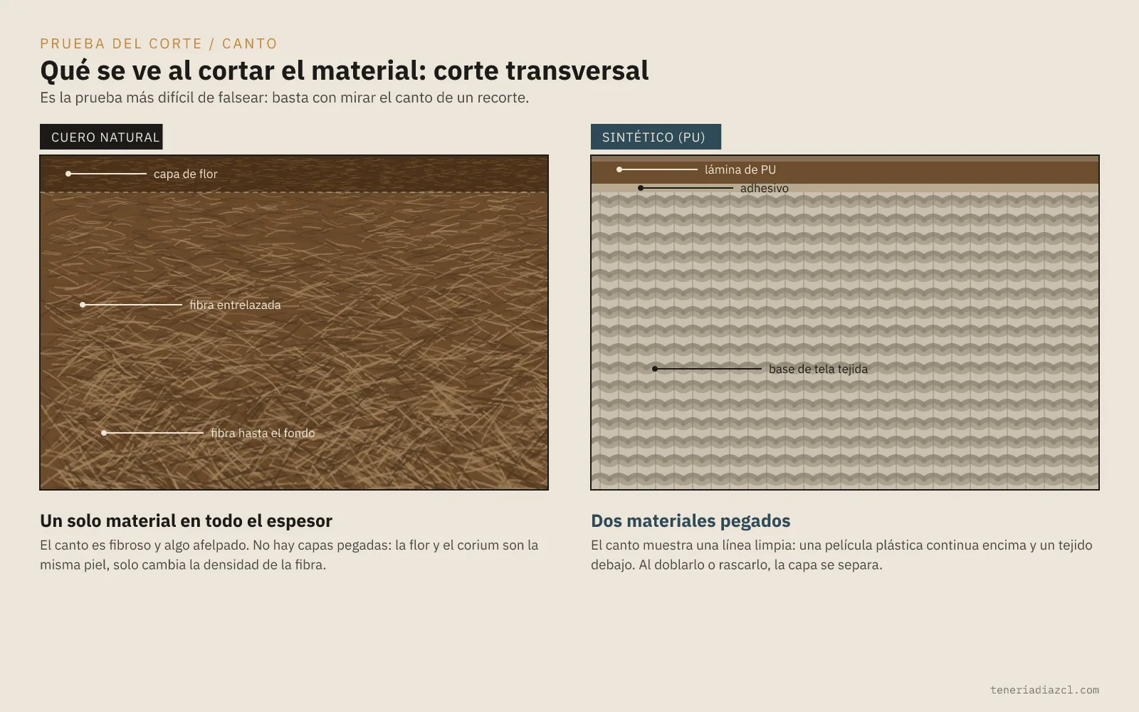 Corte transversal de cuero natural con fibra entrelazada frente a cuero sintético PU con su capa de polímero sobre base textil