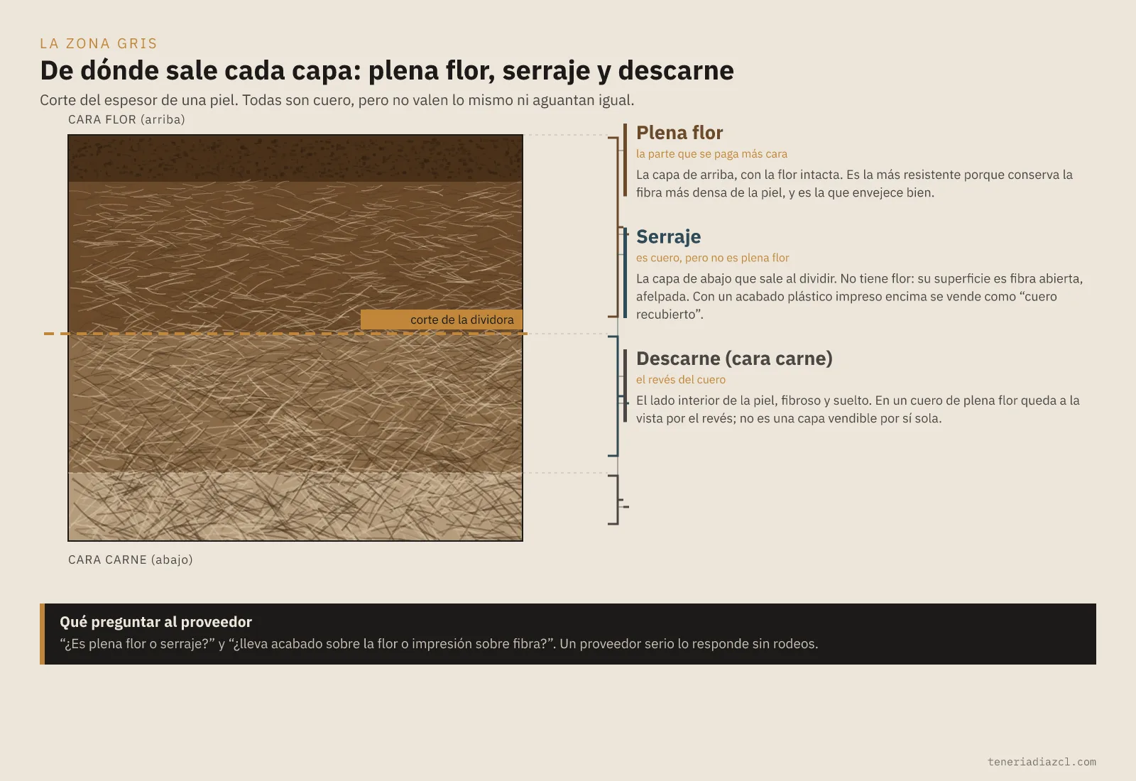 Esquema del espesor de una piel mostrando de dónde salen la plena flor, el serraje y el descarne